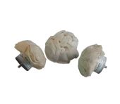 Chestnut Medium Domeskive - Polermoppe - Model A