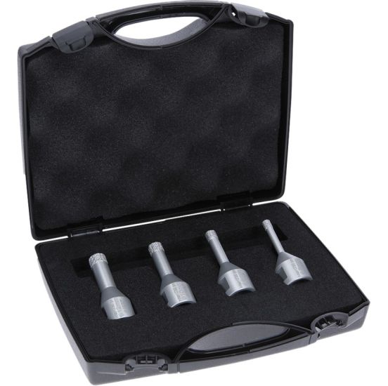 Bosch Diamantborsæt 6/8/10/12mm M14 DRYSPEED - 2607017579