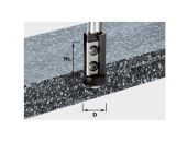 Festool Kantfræser med vendeplatter HW S12 D21/30WM 491120