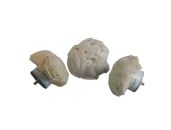 Chestnut Medium Domeskive - Polermoppe - Model A